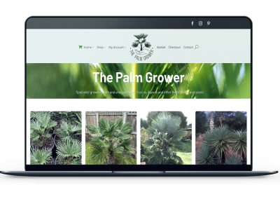 The Palm Grower